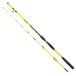 Hechtrute Jenzi Continuum 2,10m mit Wurfgewicht 20-100g