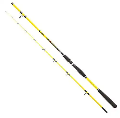 Hechtrute Jenzi Continuum 2,10m mit Wurfgewicht 20-100g