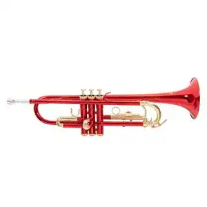 Trompete Roy Benson Bb TR-101R für Musiker