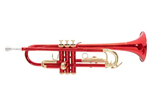 Trompete Roy Benson Bb TR-101R für Musiker