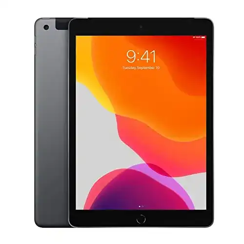 Apple iPad 2019 mit Stift (10.2 Zoll, Wi-Fi + Cellular, 32GB)