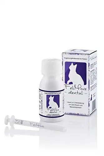 Zahnpflege für Katzen – Felimove dental Liquid mit Vitalpilzen