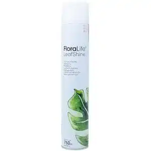 Blattglanzspray Flowerbox Oasis Floralife 750 ml