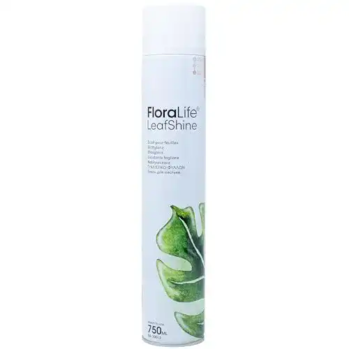 Blattglanzspray Flowerbox Oasis Floralife 750 ml