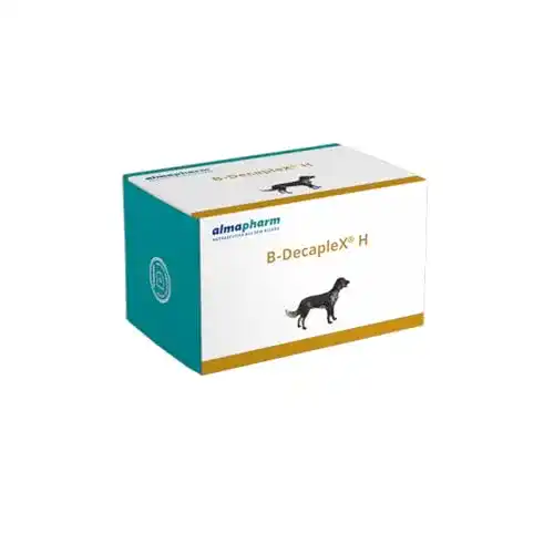 Vitamin-B-Komplex für Hunde Almapharm B-DecapleX H – 120 Tabletten
