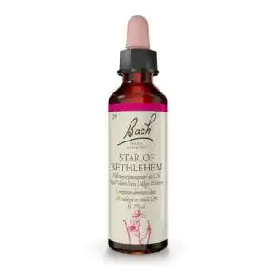 Bachblüten Tropfen Nr. 29 – Doldiger Milchstern 20ml