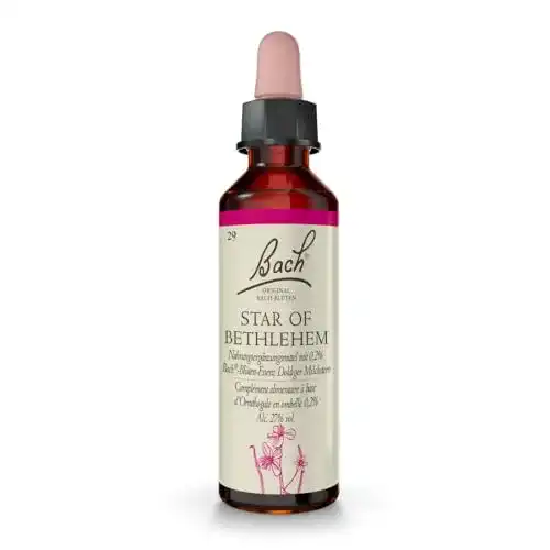 Bachblüten Tropfen Nr. 29 – Doldiger Milchstern 20ml