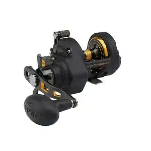 Penn Fathom II Star Drag Multirolle 12 Rechts