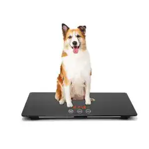 Tierwaage MINDPET-MED für Hunde digitale Tierwaage mit 3 Wiege-Modi
