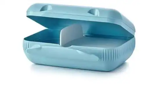 Tupperware To Go Brotdose mit Trennwand für vielseitige Nutzung