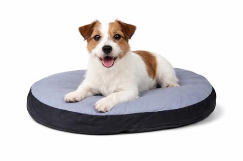 Hundekissen Karlie Oval 50x40x8 cm – Hygienisch und Waschbar