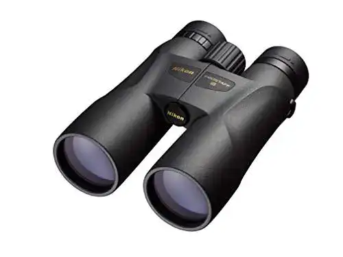 Fernglas 10×50 Nikon Prostaff 5 Optische Leistung und Robustheit