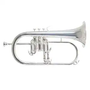 Roy Benson Bb-Flügelhorn FH-302S mit 11mm MS Bohrung und Goldmessing