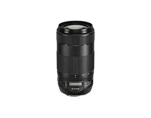 Canon EF 70-300mm F4-5.6 IS II USM Teleobjektiv für Fotos und Videos