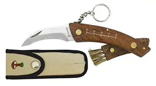 Pilzmesser von Albainox mit Holzgriff und Zubehör