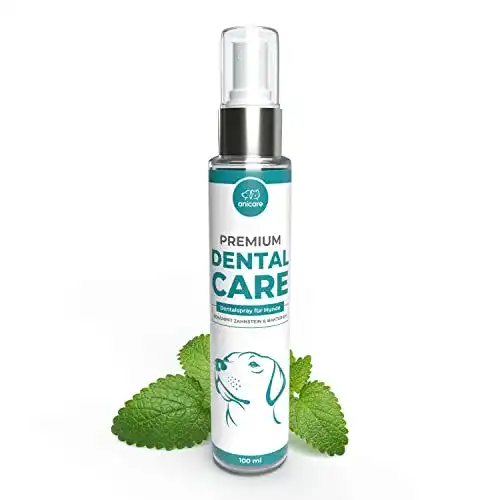 Dentalspray für Hunde und Katzen zur Zahnpflege und Zahnreinigung