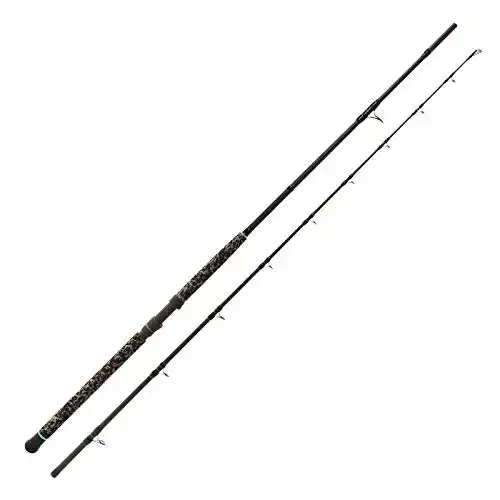 Wallerrute Zeck Pro-Cat 3,00m 400g Angelrute für Großwelse