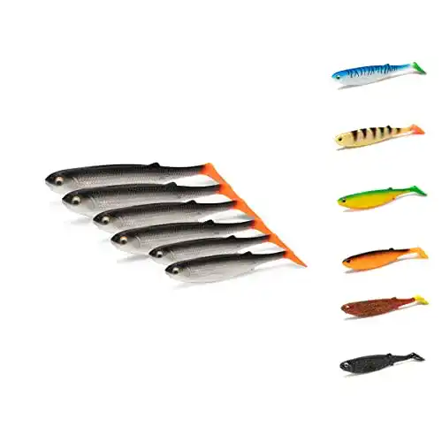 Gummifisch NØMIS Richie Roach Set 5er 10 cm Angelzubehör