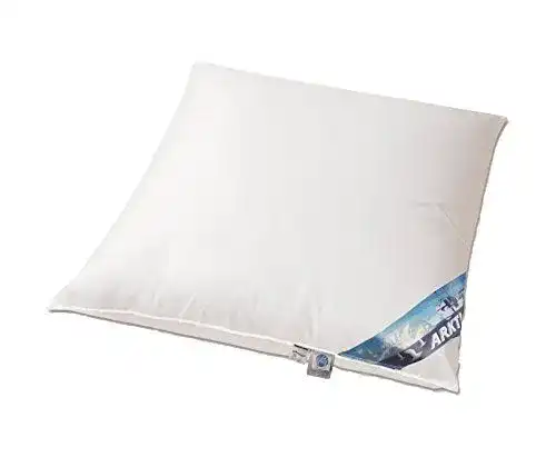 Daunenkissen 80×80 cm aus arktischem Daunenflaum von betten-traum-land