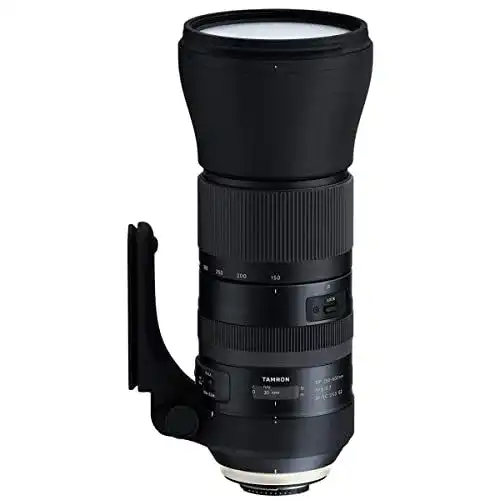 Tamron SP 150-600mm F/5-6.3 Di VC USD G2 Teleobjektiv