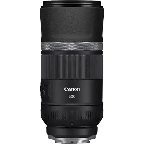 Canon Objektiv RF 600mm F11 IS STM für Teleaufnahmen