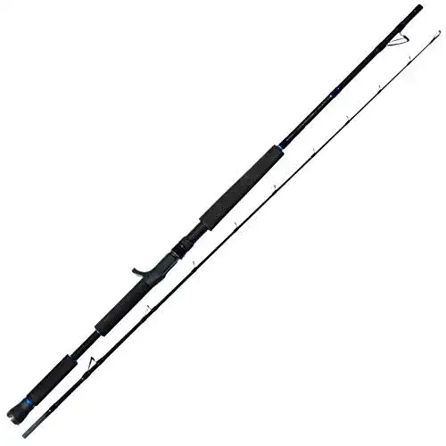 Meeresrute Dieter Eisele Bootsrute Thrill 2,1m 12-30lbs