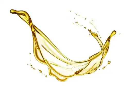 Rizinusöl Dragonspice Naturwaren kaltgepresst 500ml