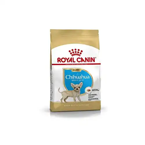 Royal Canin Chihuahua Puppy Welpenfutter 500 g – Alleinfuttermittel für Chihuahua