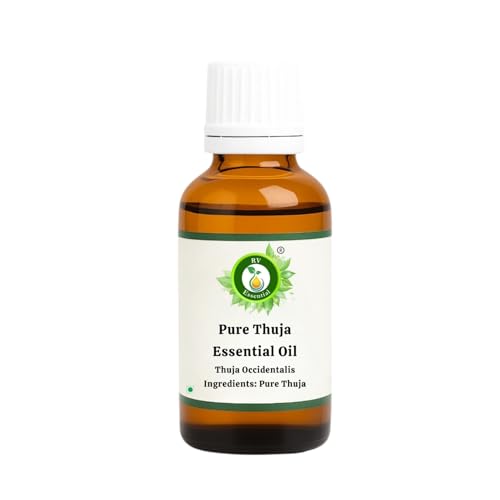 Thuja Urtinktur R V Essential Reines Thuja Ätherisches Öl 5ml