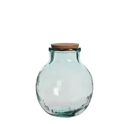 Flaschengarten Mica Olly Vase aus Glas mit Korkverschluss