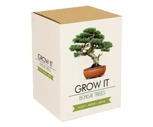 Bonsai-Starter-Kit von Gift Republic Grow It Geschenkset