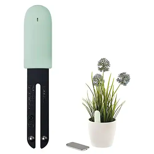 Feuchtigkeitsmesser für Pflanzen von WANFEI – Pflanzensensor Flower Care