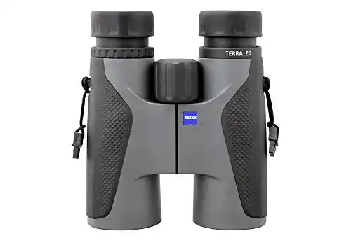 Zeiss Terra ED 8×32 Fernglas in Grau