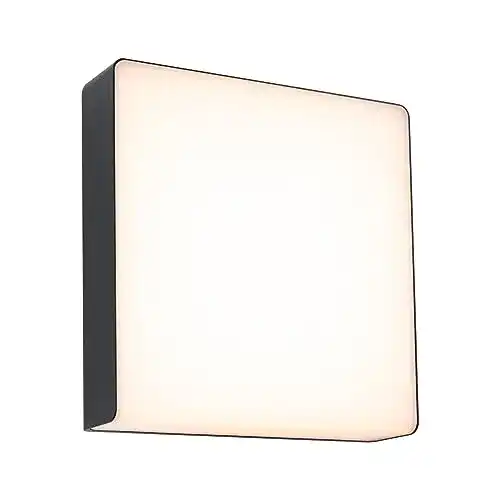 Paulmann 94840 LED Wandleuchte Azalena mit Bewegungsmelder
