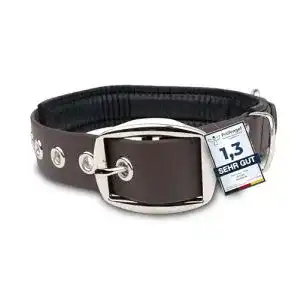 Hundehalsband von PetTec für große und kleine Hunde