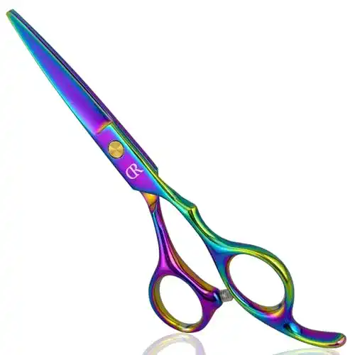 Friseurscheren Javenproliu Professionelle 6 Zoll Friseurschere