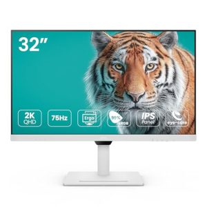 Benq GW3290QT Grafik-Monitor 32 Zoll QHD IPS mit USB-C und Ergonomie