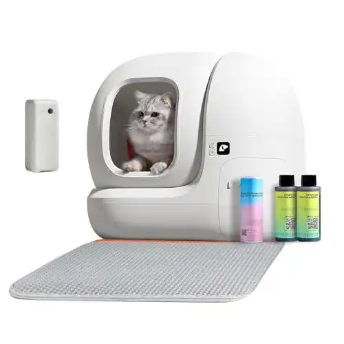 Selbstreinigendes Katzenklo Petkit Pura Max im Vergleich