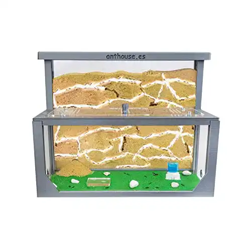 Ameisenfarm AntHouse aus Sand 3D Modell L mit Futterbox