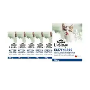 Katzengras Dehner Lieblinge Saatgut, 6 Stück (600 g)