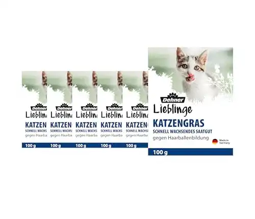 Katzengras Dehner Lieblinge Saatgut, 6 Stück (600 g)