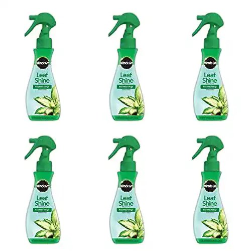Blattglanzspray Miracle-Gro 100720, 227 ml, 6er Pack