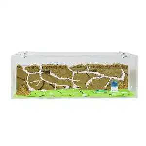 Ameisenfarm AntHouse – Natürliche Sandfarm im Big Acryl Starter Set