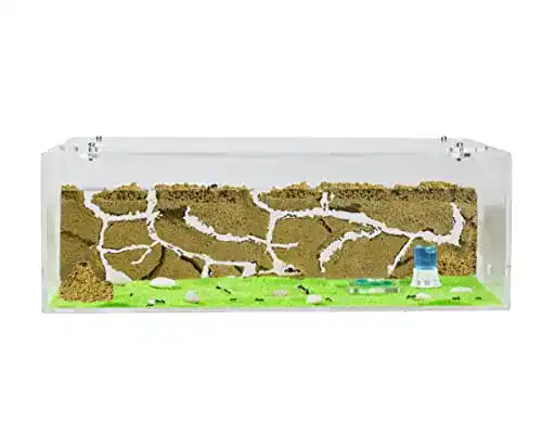 Ameisenfarm AntHouse – Natürliche Sandfarm im Big Acryl Starter Set