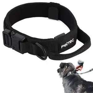 Hundehalsband für Welpen aus Neopren und Nylon von Pettec