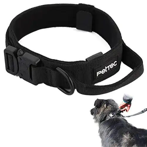Hundehalsband für Welpen aus Neopren und Nylon von Pettec