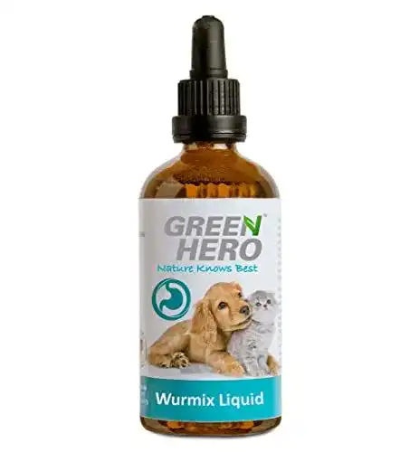 Wurmkur für Hunde und Katzen – Green Hero Wurmix Liquid 100 ml