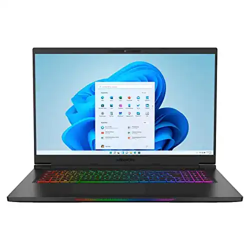 Medion Laptop Medion Erazer Beast X20 17,3 Zoll Gaming Notebook