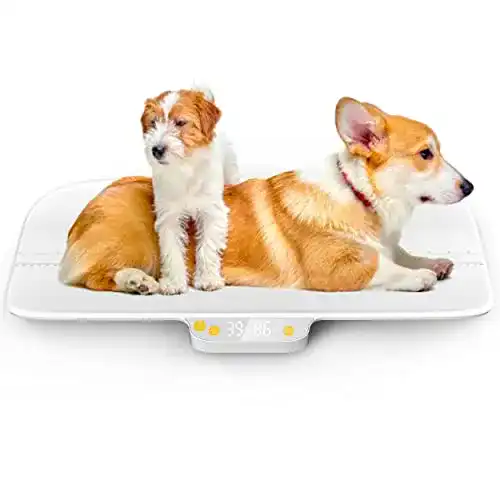 Digitale Tierwaage für Kleinkinder und Haustiere bis 30 kg