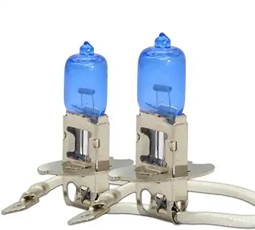 H3 Birne WinPower H3 / PK22s 100W Halogen 5000K